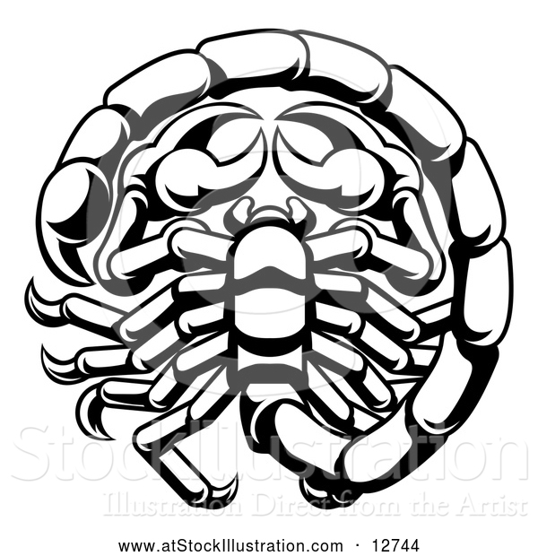 Vector Illustration of a Zodiac Horoscope Astrology Scorpio Design in Black and White