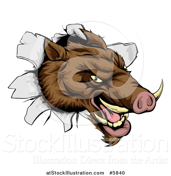 Vector Illustration of an Aggressive Boar Mascot Breaking Through a Wall