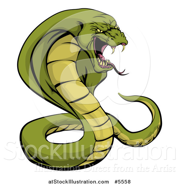 Vector Illustration of an Aggressive Green Cobra Snake Ready to Strike