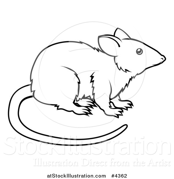 Vector Illustration of an Outlined Chinese Zodiac Rat