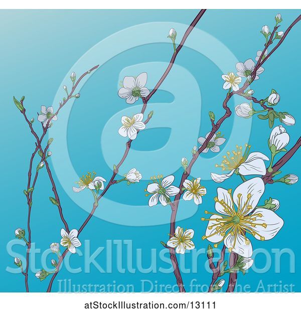 Vector Illustration of Background of Branches with Spring Blossoms over Blue Sky
