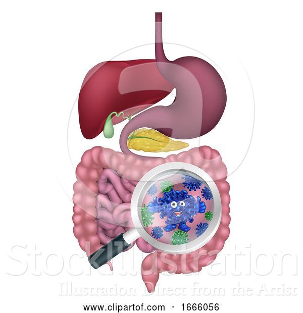 Vector Illustration of Bacteria Mascot in Gut or Intestines