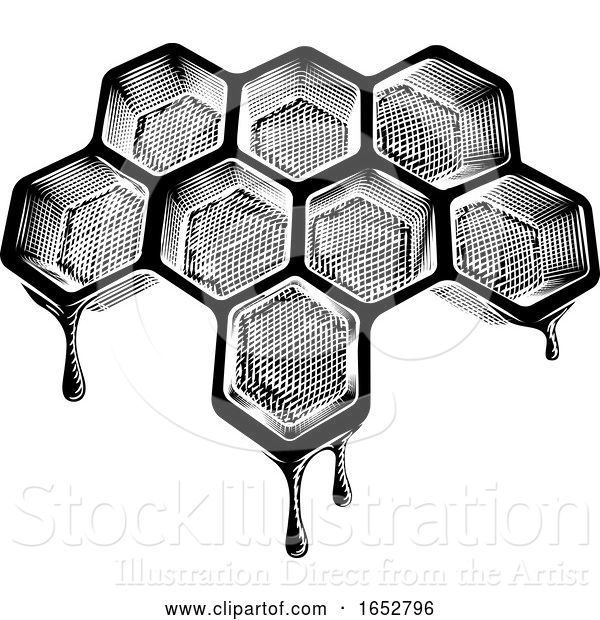 Vector Illustration of Bee Honeycomb Dripping with Honey Vintage Style