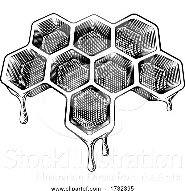 Vector Illustration of Bee Honeycomb Dripping with Honey Vintage Style