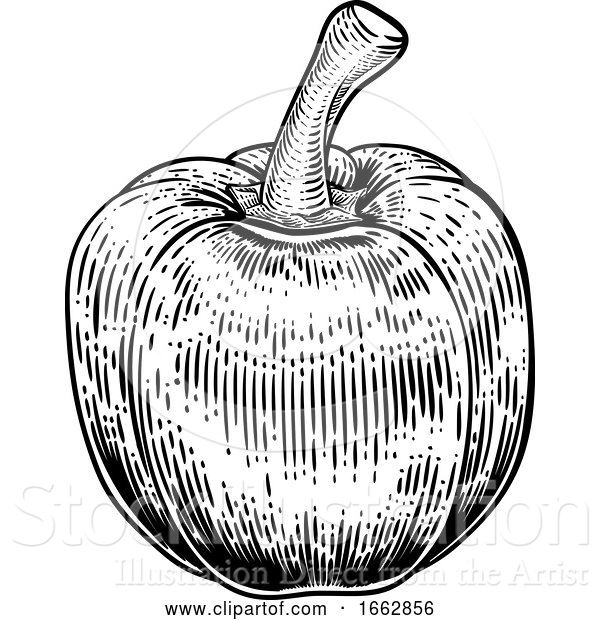 Vector Illustration of Bell Pepper Woodcut Vegetable Illustration