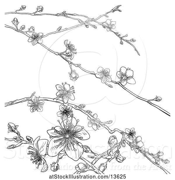 Vector Illustration of Black and White Background of Branches with Spring Blossoms