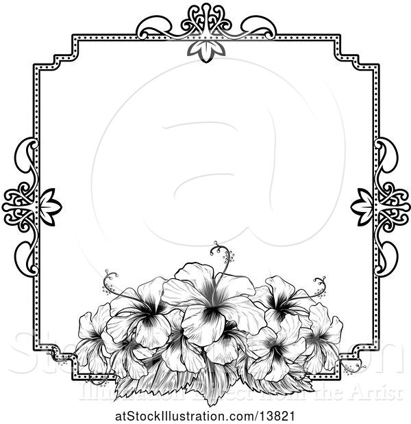 Vector Illustration of Black and White Border or Wedding Invitation with Hibiscus Flowers