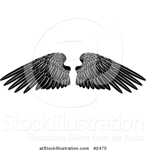 Vector Illustration of Black and White Feathered Wings