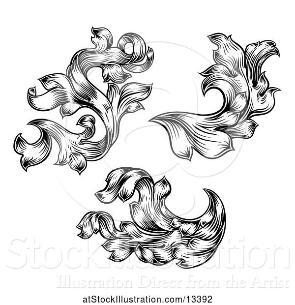 Vector Illustration of Black and White Ornate Vintage Floral Design Elements