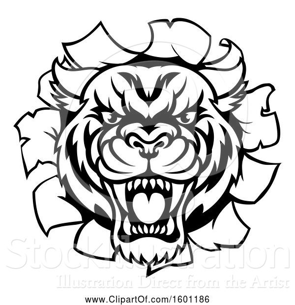 Vector Illustration of Black and White Tiger Mascot Head Breaking Through a Wall