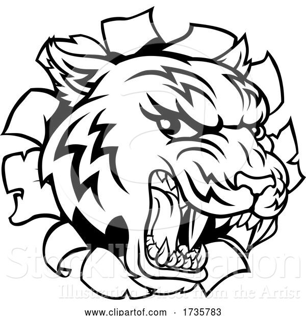 Vector Illustration of Black and White Tiger Mascot Head Breaking Through a Wall