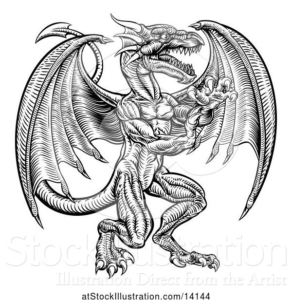 Vector Illustration of Black and White Woodcut Dragon