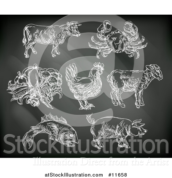 Vector Illustration of Black Board with Chalk Drawn Foods and Meat Animals