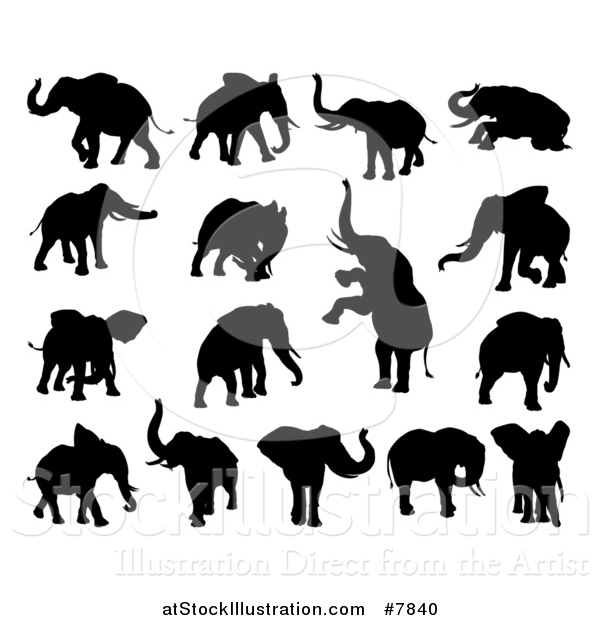 Vector Illustration of Black Silhouetted Elephants