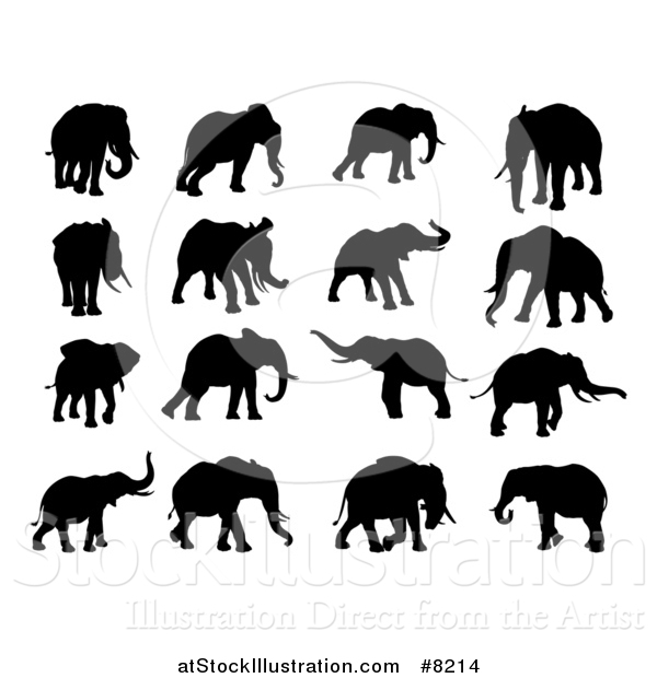 Vector Illustration of Black Silhouetted Elephants