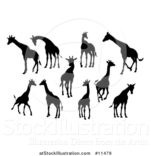 Vector Illustration of Black Silhouetted Giraffes