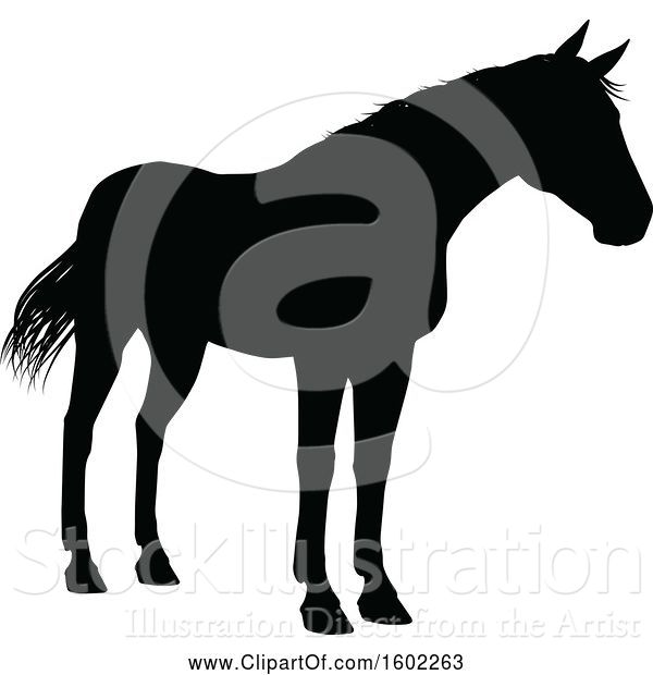 Vector Illustration of Black Silhouetted Horse