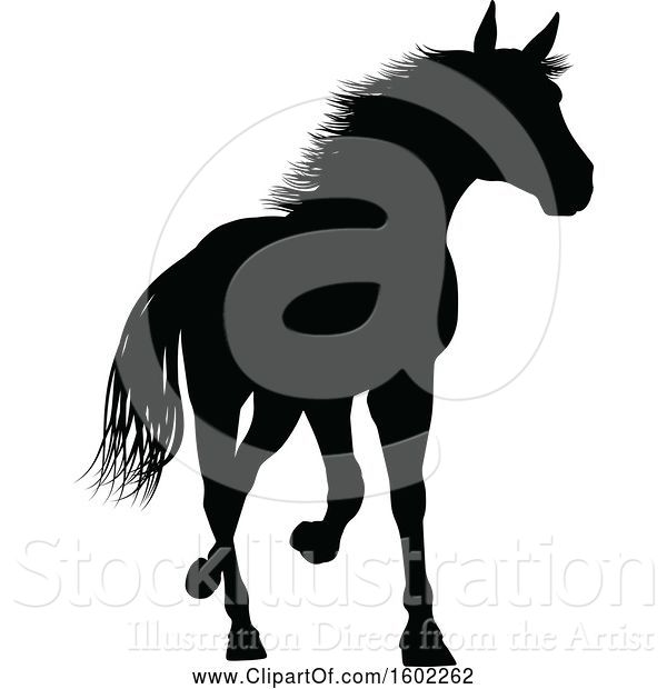 Vector Illustration of Black Silhouetted Horse