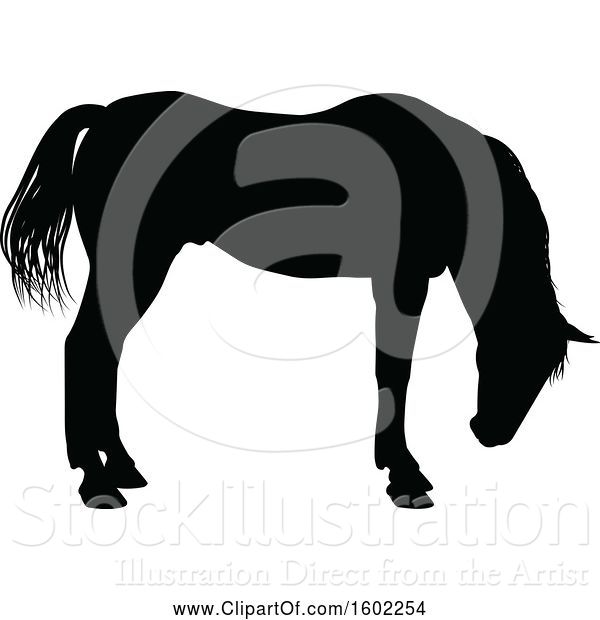 Vector Illustration of Black Silhouetted Horse