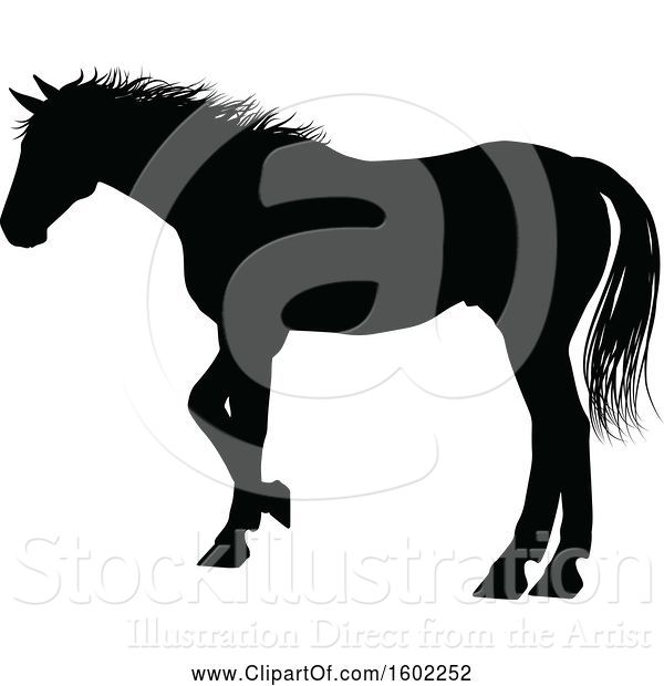 Vector Illustration of Black Silhouetted Horse