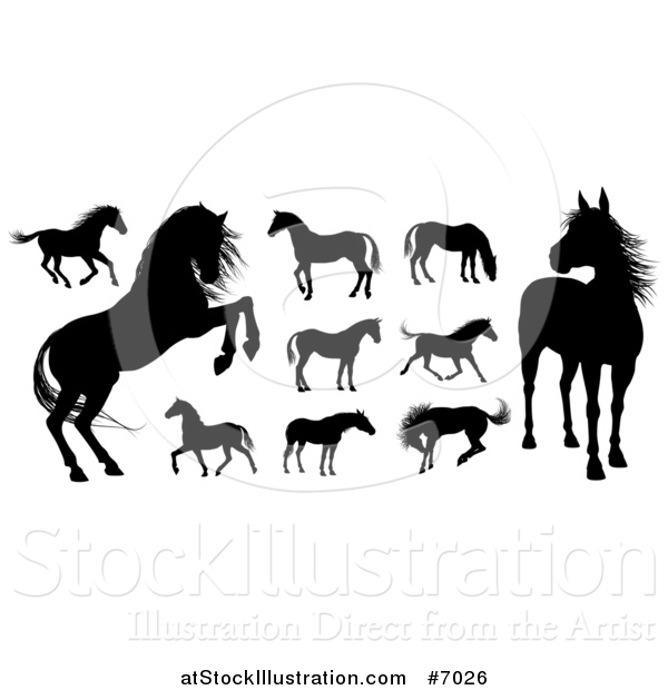 Vector Illustration of Black Silhouetted Horses