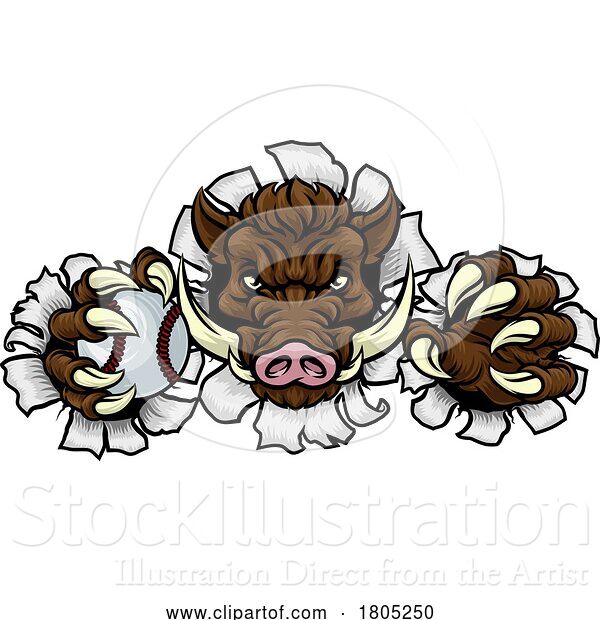 Vector Illustration of Boar Wild Hog Razorback Warthog Baseball Mascot