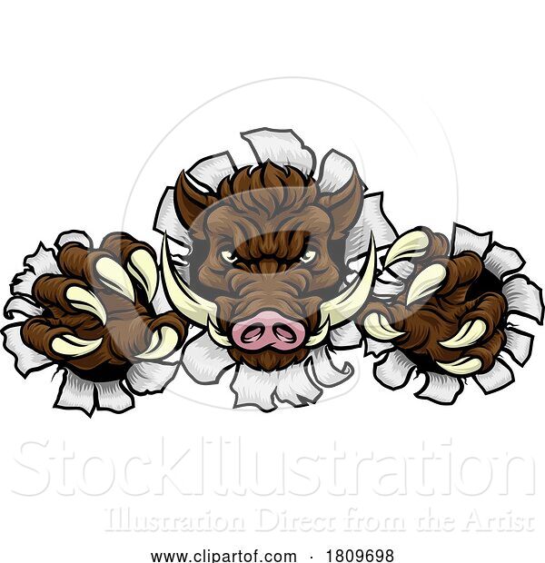 Vector Illustration of Boar Wild Hog Razorback Warthog Pig Sports Mascot