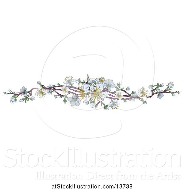 Vector Illustration of Border of White Spring Blossoms