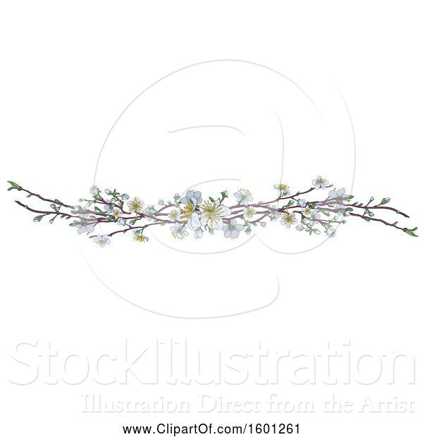 Vector Illustration of Border of White Spring Blossoms