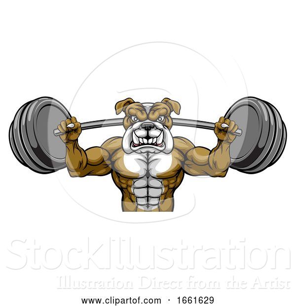 Vector Illustration of Bulldog Mascot Weight Lifting Body Builder