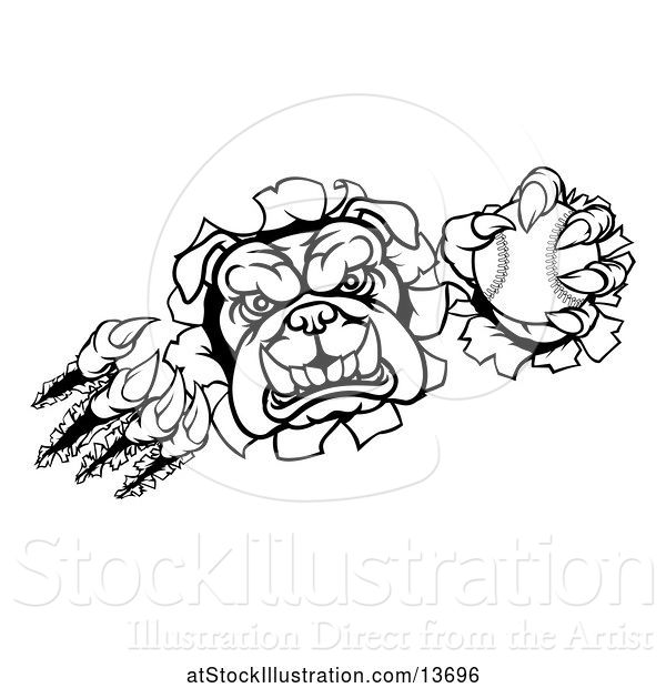 Vector Illustration of Cartoon Black and White Bulldog Monster Shredding Through a Wall with a Baseball in One Hand