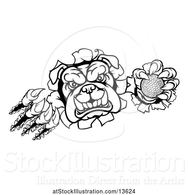 Vector Illustration of Cartoon Black and White Bulldog Monster Shredding Through a Wall with a Golf Ball in One Hand