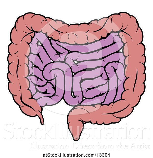 Vector Illustration of Cartoon Human Digestive System Showing the Gastrointestinal Tract