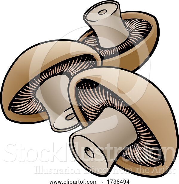 Vector Illustration of Cartoon Mushroom Vegetable Illustration
