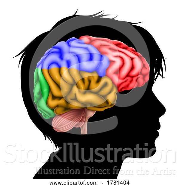 Vector Illustration of Child Kid Head in Silhouette Profile with Brain