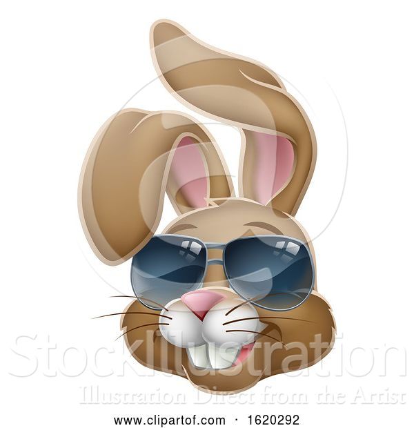 Vector Illustration of Cool Easter Bunny Rabbit in Sunglasses