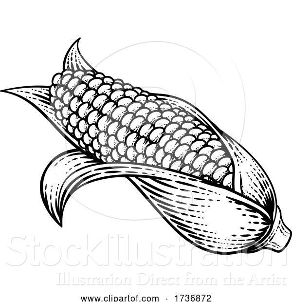 Vector Illustration of Corn Vegetable Vintage Woodcut Illustration