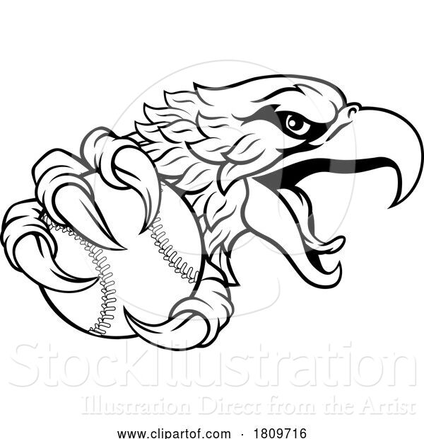 Vector Illustration of Eagle Hawk Baseball Ball Sport Team Mascot