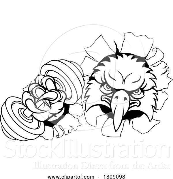Vector Illustration of Eagle Hawk Bird Weight Lifting Dumbbell Gym Mascot