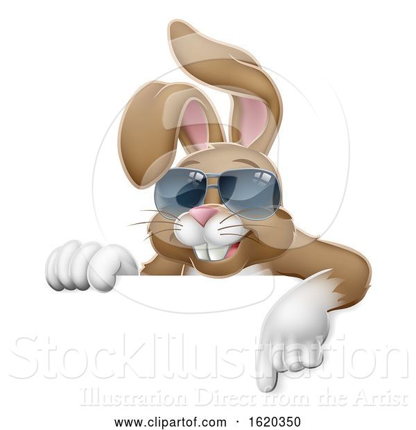 Vector Illustration of Easter Bunny Cool Rabbit Pointing