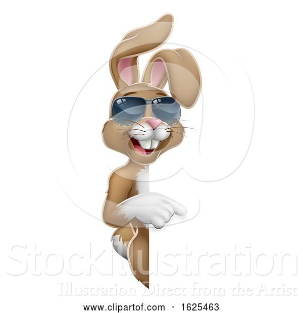 Vector Illustration of Easter Bunny Cool Rabbit Pointing