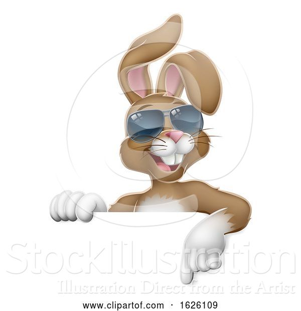 Vector Illustration of Easter Bunny Cool Rabbit Pointing