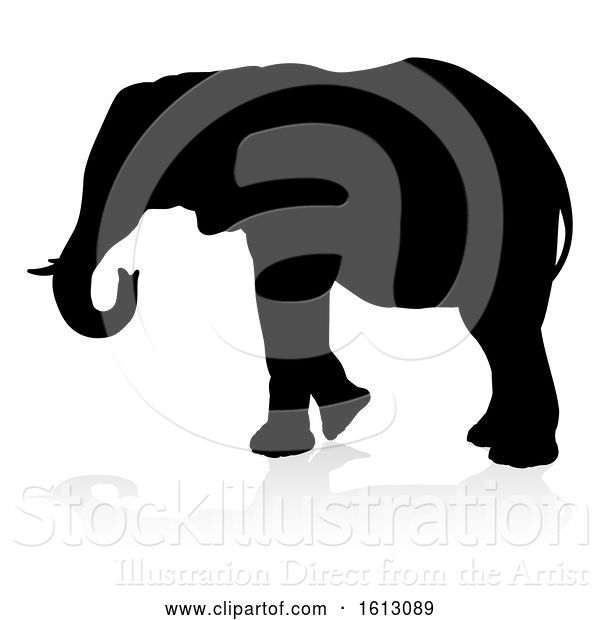 Vector Illustration of Elephant Safari Animal Silhouette, on a White Background