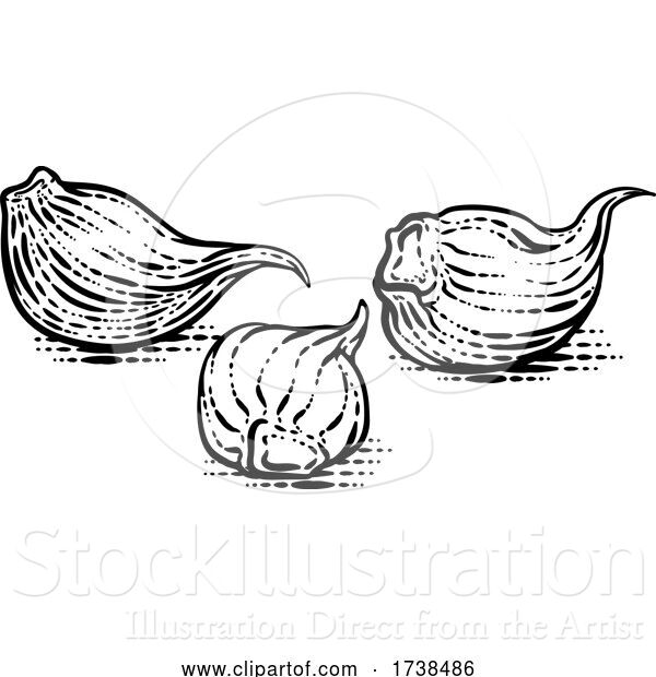 Vector Illustration of Garlic Cloves