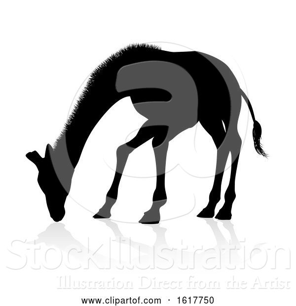 Vector Illustration of Giraffe Safari Animal Silhouette, on a White Background