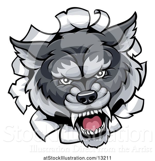 Vector Illustration of Gray Wolf Mascot Breaking Through a Wall