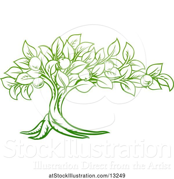 Vector Illustration of Green Apple Tree Design