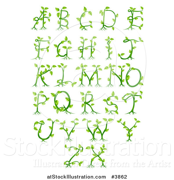 Vector Illustration of Green Vine Alphabet Letters a Through Z