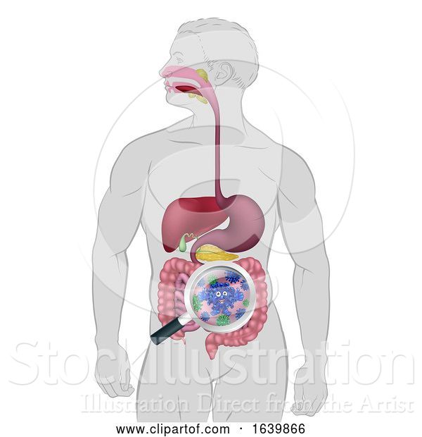 Vector Illustration of Gut Bacteria Digestive Probiotic Flora