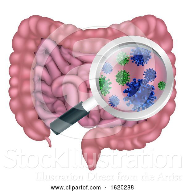 Vector Illustration of Gut Bacteria Probiotic Intestine Digestive Flora